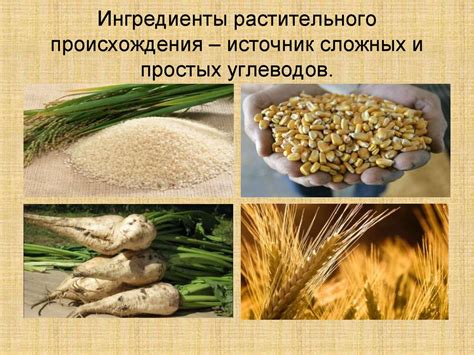 Сухой экструдированный корм для собак супер-премиум класса Blitz ...