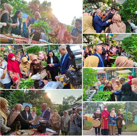 Panen Hidroponik Bersama Menteri Pembangunan Singapura