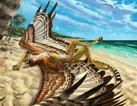 The Big Imageboard Tbib 2018 Accipitrid Accipitriform Anthro Avian Beach Bird Cheetah Day