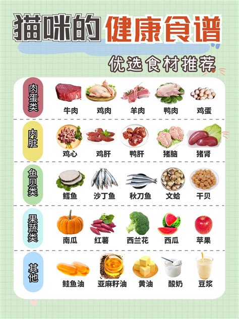 观宠主食猫饭图文 抖音