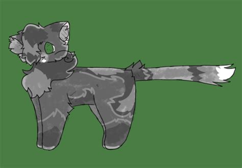 Needletail Warrior Cats