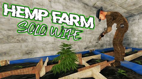 I Built A Solo Hemp Farm For Profit On Solo Wipe Rust Youtube