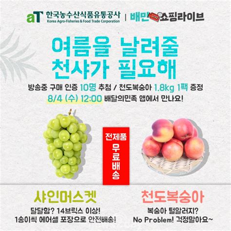 뉴스투데이 E 한국농수산식품유통공사 배민쇼핑라이브 첫방