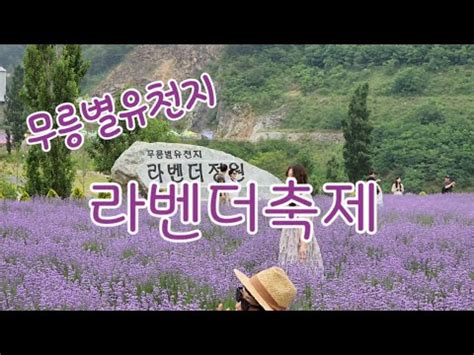 무릉별유천지 라벤더축제 Yucheonji by Mureung Donghae City Korea Lavender storage