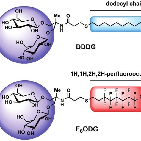 Formation Of Lipid Bilayer Nanodiscs Tem Images Of Dg Nanodiscs Made