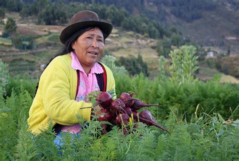 Agricultura En Bolivia Lo Que A N No Sabes Sobre Esta Actividad Econ Mica