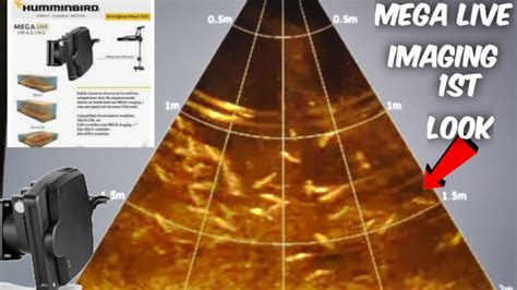 Mega Live Imaging Humminbird Manual