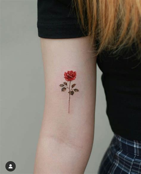 Pin By Vania Aguero On Tatoos Rose Tattoo Tattoos Rose Tattoo Design