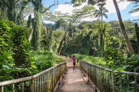 A Perfect Day In Honolulu S Manoa Valley Hawaii Photography Tours