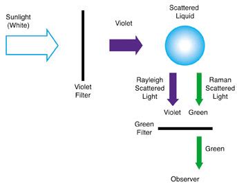 cv raman  raman effect landmark american chemical society