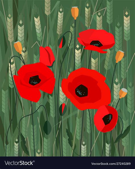 Poppies Royalty Free Vector Image Vectorstock