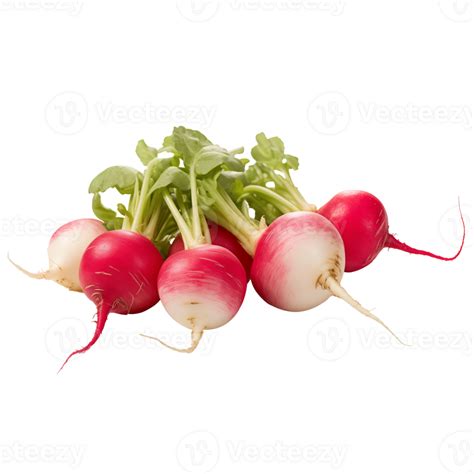 Ai Generated Radishes Isolated On A Transparent Background 38461885 Png