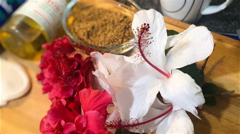 Diy Hibiscus Flower And Fenugreek Seeds Herbal Hair Oil For Extreme