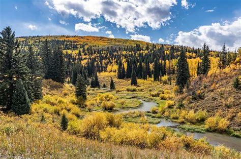 The Best Time to See Fall Colors in Rocky Mountain National Park ...