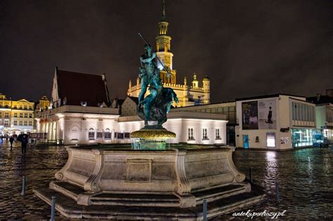 wielkopolskie Antek w podróży