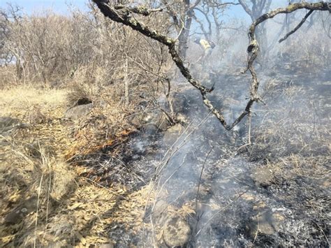 Gem Refuerza Gobierno De Michoac N Acciones Para Atender Incendios