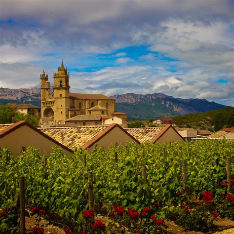 Your 2024 guide to Rioja wine region | Winetourism.com