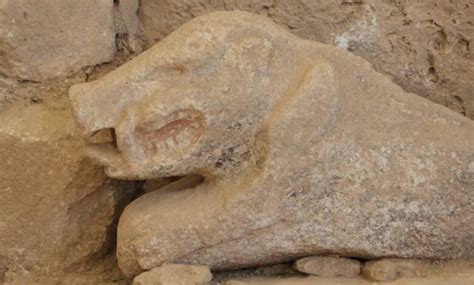 Göbeklitepede Tarihi Keşif İlk Boyalı Yaban Domuzu Heykeli