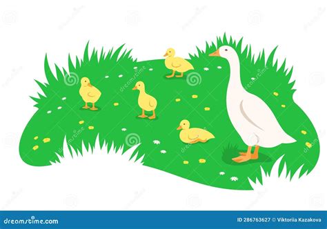 Goose And Goslings In Green Meadow Cartoon Banner | CartoonDealer.com