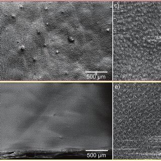 The States Of A Droplet On Different Roughness Surfaces A Micro