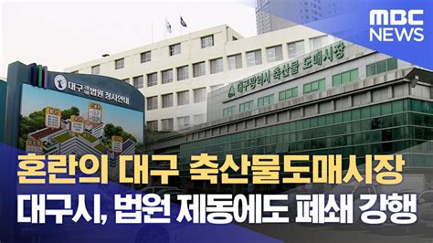 혼란의 대구 축산물도매시장‥대구시 법원 제동에도 폐쇄 강행 20240223뉴스데스크대구mbc Youtube