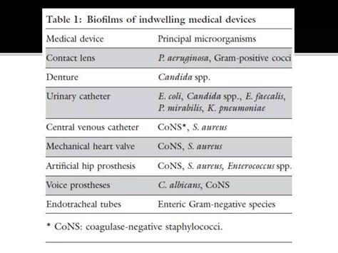 Biofilm | PPT