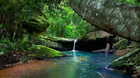 Beautiful Waterfall On Rock Pouring On River Surrounded By Green Trees