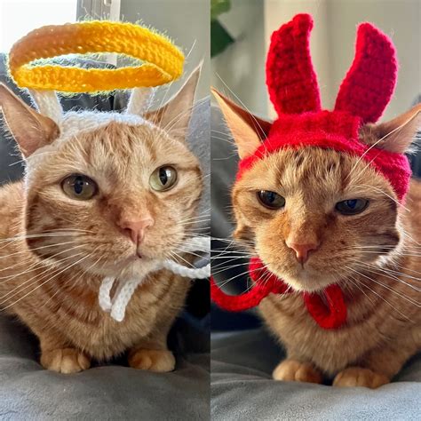 Angel and Devil Cat Costume, Angel Halo and Devil Horns Cat Hats, Angel