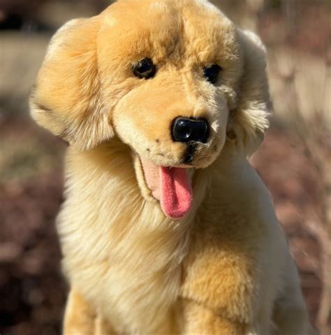 Auswella Charlie Golden Retriever Plush Stuffed Dog Nepal | Ubuy