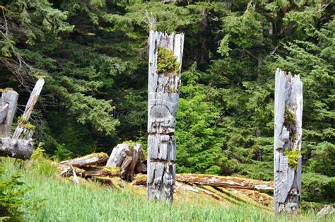 Historic Totem Poles Sgang Gwaay Ninstints Haida Gwaii Stock Image