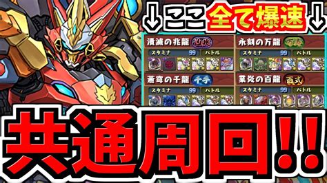 【共通周回編成】全て爆速！未知の新星メドレー！ウルフデイトナ編成！代用・立ち回り解説！凶兆・万寿・千手・百式！凶兆チャレンジ対応【パズドラ