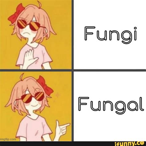 Fungi memes. Best Collection of funny Fungi pictures on iFunny