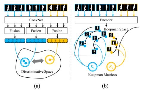 （cvpr 2021）具有深度通用线性嵌入的跨视角步态识别 Koopman算子 Csdn博客