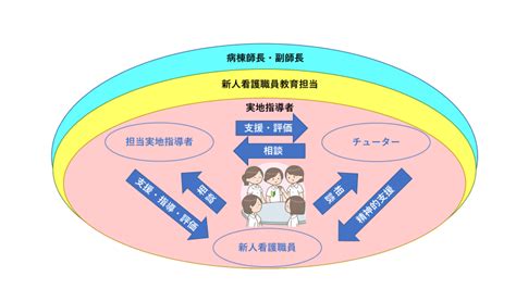 新人看護師の教育 教育について 看護部 静岡県立総合病院