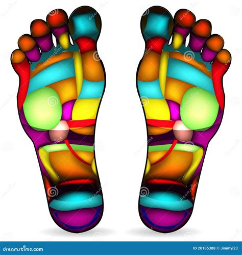 Foot Massage Chart Stock Vector Illustration Of Circulation 20185388