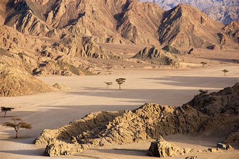 Sinai Desert Pictures, Images and Stock Photos - iStock