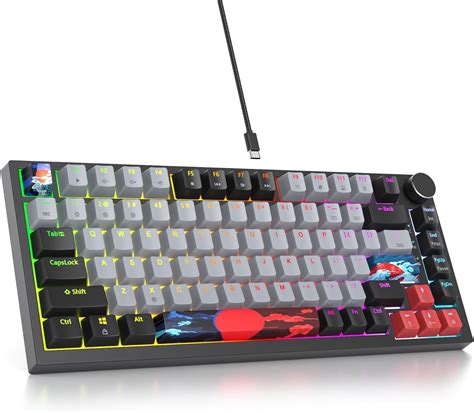 SOLIDEE mechanische Gaming Tastatur hot swap fähige Tastatur mit rote Schalter RGB