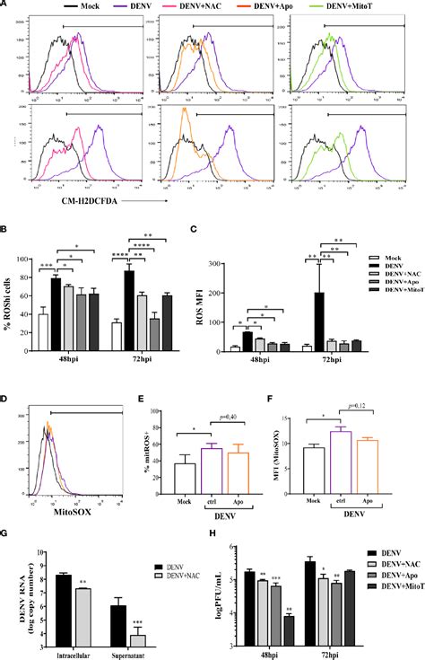 Figure From Infection Of Endothelial Cells By Dengue Virus Induces