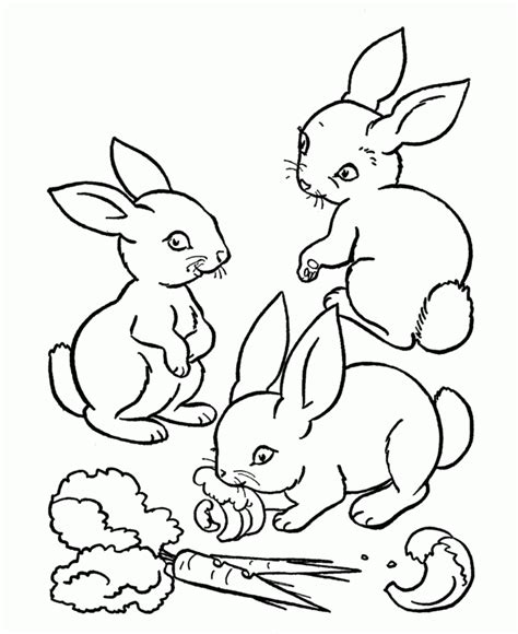 Coloriage Les Lapins Animaux