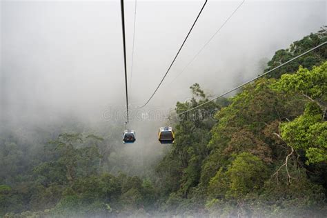 Cable Car Above Green Forest In Misty Clouds Stock Image Image Of