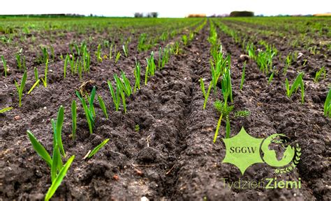 Years Of Uninterrupted Farming Experience At The Warsaw University