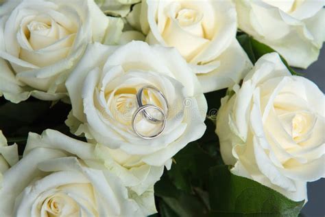 White roses at wedding stock photo. Image of blooming - 78164428