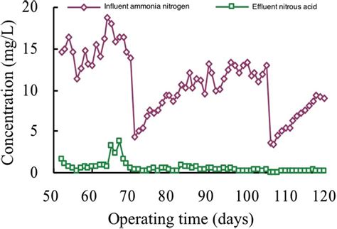 Effluent No N Concentration In Phase Ii And Phase Iii Fig