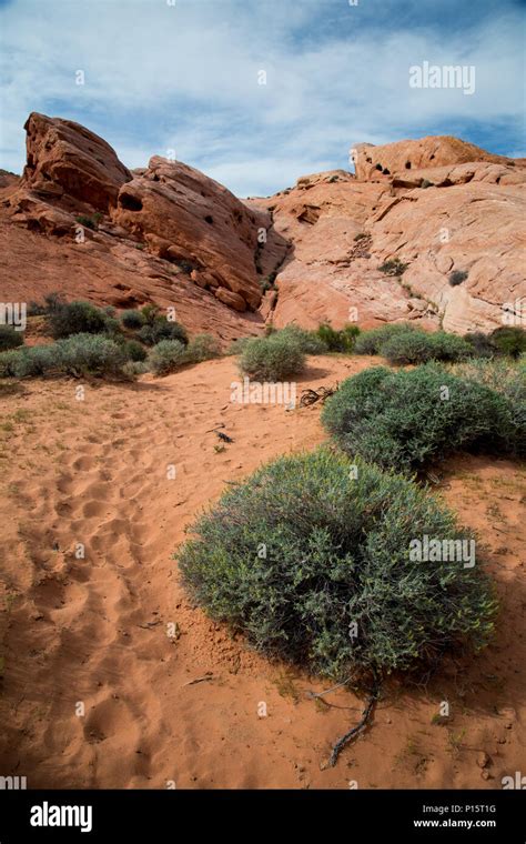 Hiking Trail At The Fire Wave In Nevada S Valley Of Fire State Park