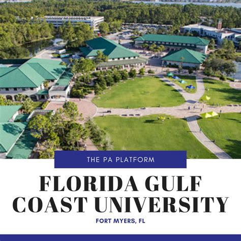 Program Spotlight Florida Gulf Coast University — The Pa Platform