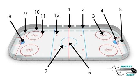 Ice Hockey 101 Rules And Regulations Guide Hockey Brief