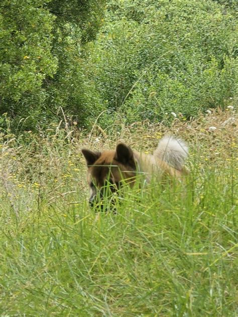 Route 10 North Shore: Complete Schedule and Stop Information 21
