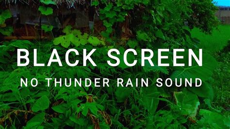 No THUNDER Rain Sound For Sleeping Heavy Rain No THUNDER BLACK SCREEN