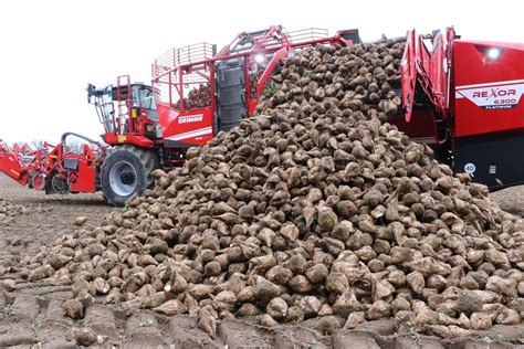 Bilder Vom Test R Benroder Rexor Platinum Von Grimme Agrarheute