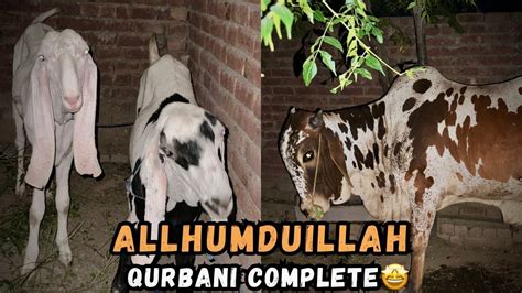 Allhumduillah Qurbani Complete Hogai Chand Raat Mubarakk YouTube